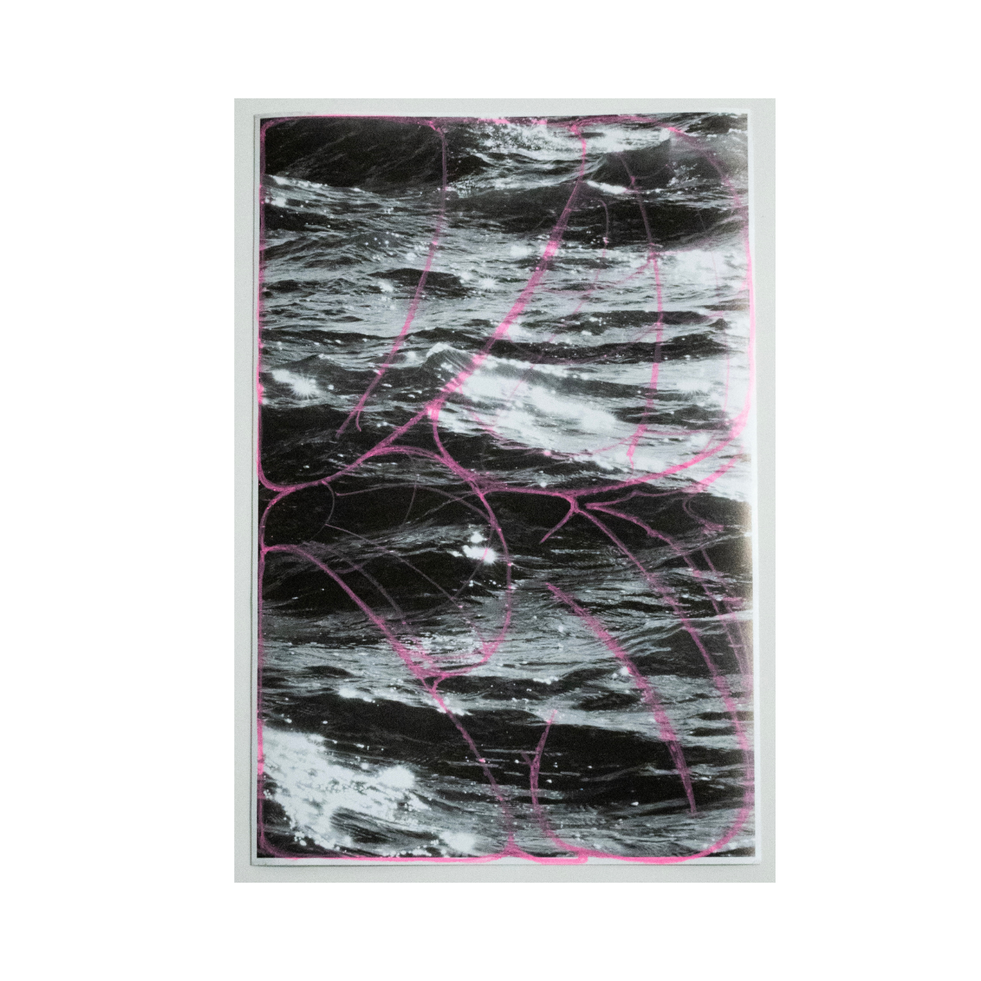 void x dos hermanos